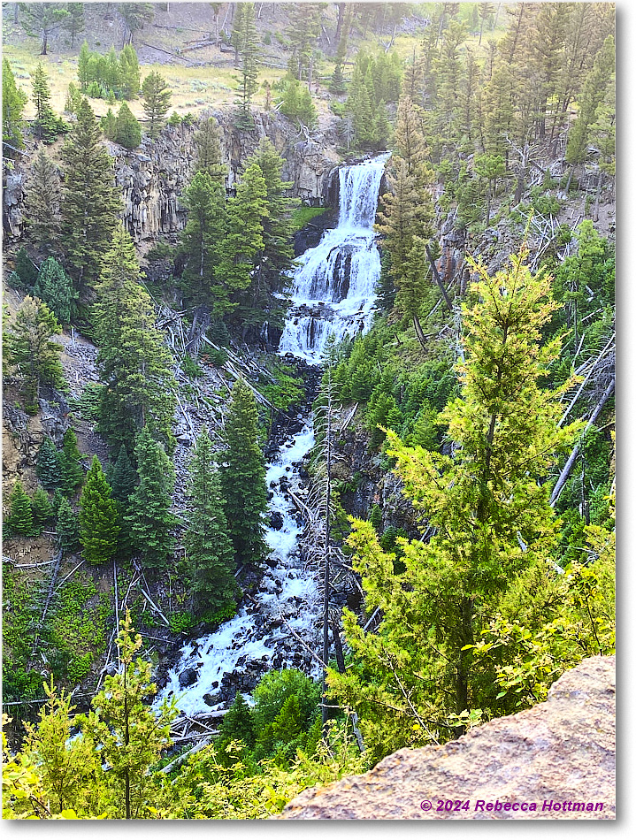 Yellowstone_Jul30Tue_IMG_5295