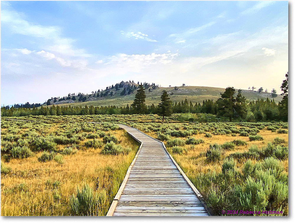 Yellowstone_Jul30Tue_IMG_5298