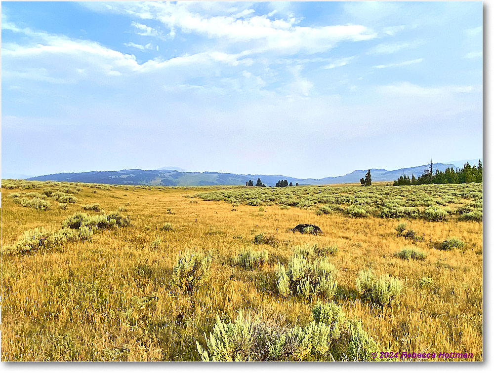 Yellowstone_Jul30Tue_IMG_5299