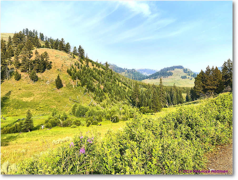 Yellowstone_Jul30Tue_IMG_5311