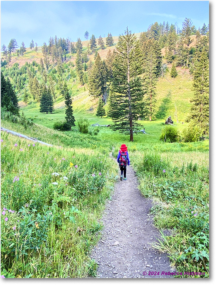 Yellowstone_Jul30Tue_IMG_5312