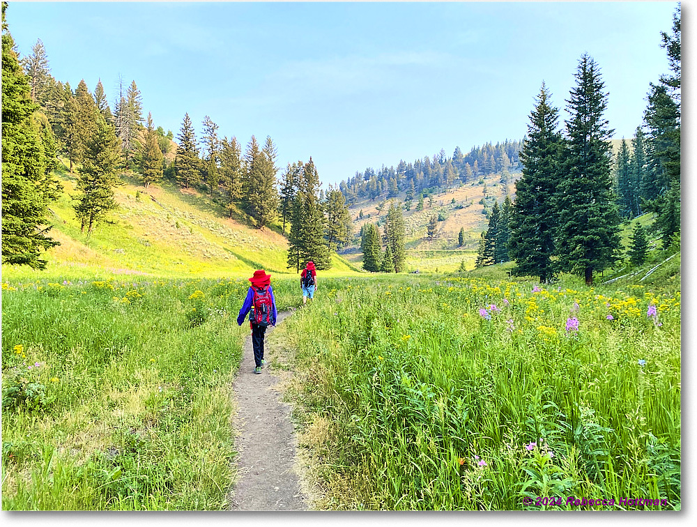 Yellowstone_Jul30Tue_IMG_5318