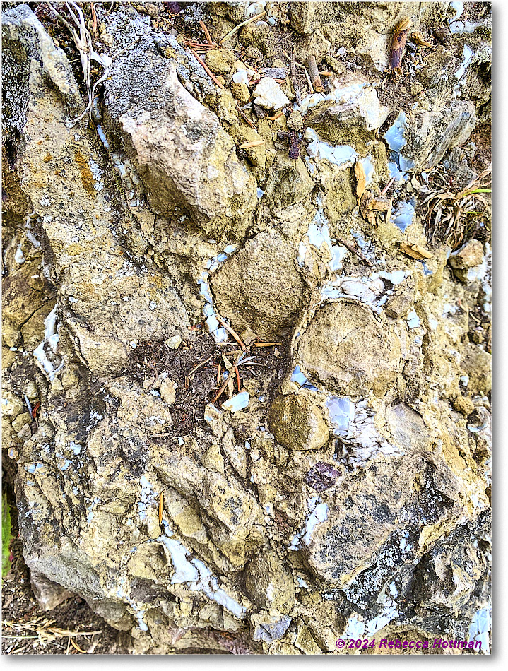 Yellowstone_Jul30Tue_IMG_5322