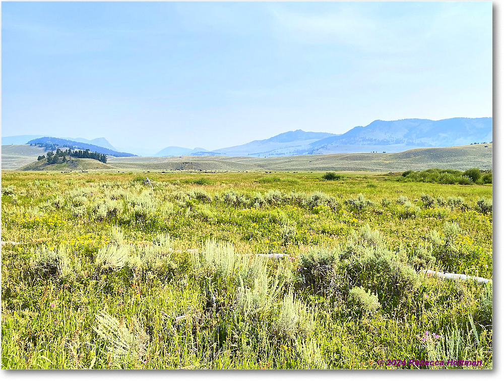 Yellowstone_Jul30Tue_IMG_5324