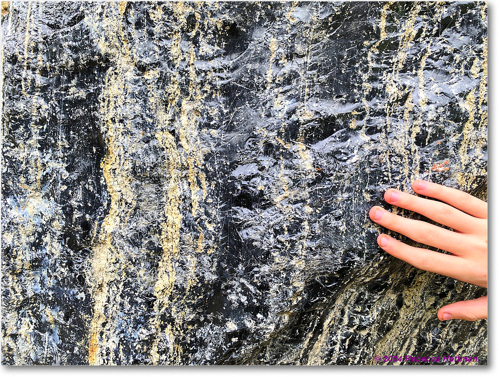 Yellowstone_Jul30Tue_IMG_5328