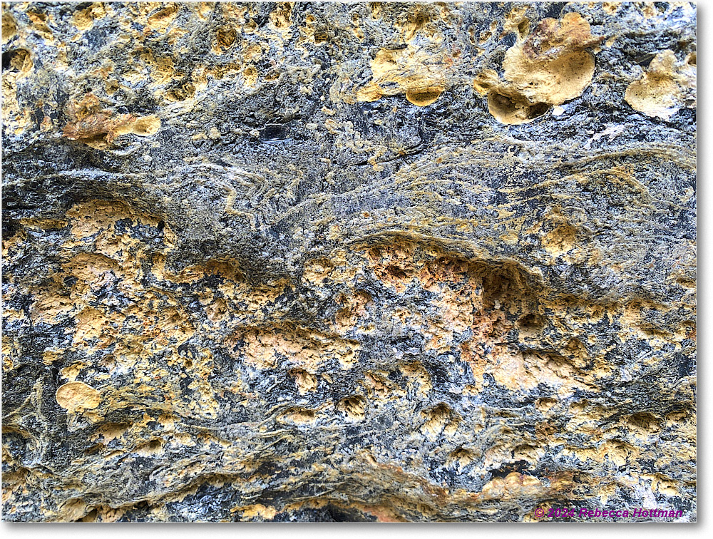 Yellowstone_Jul30Tue_IMG_5331