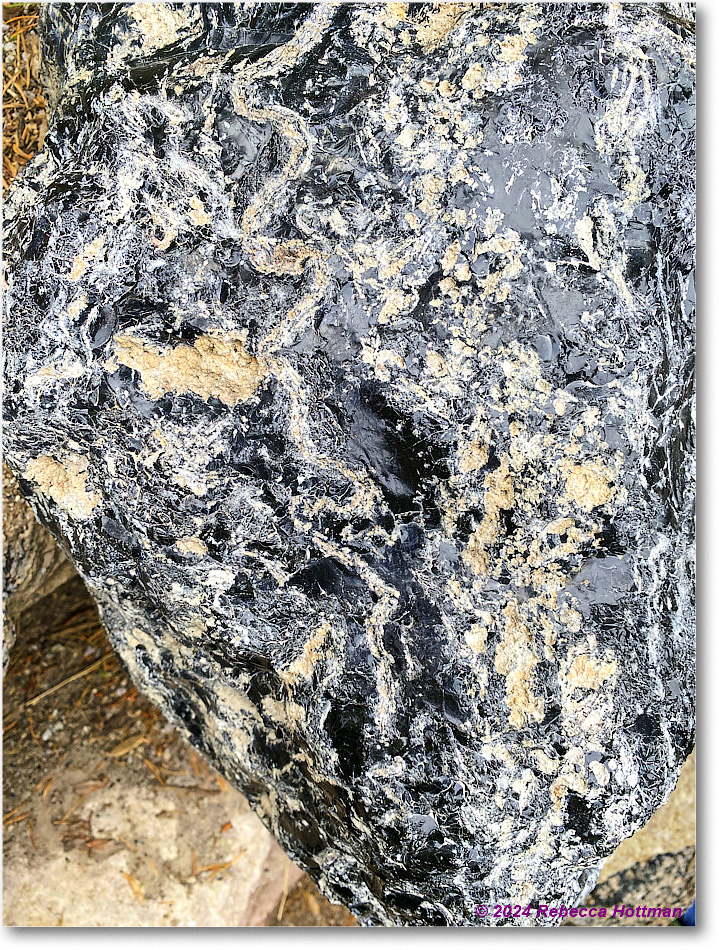 Yellowstone_Jul30Tue_IMG_5332