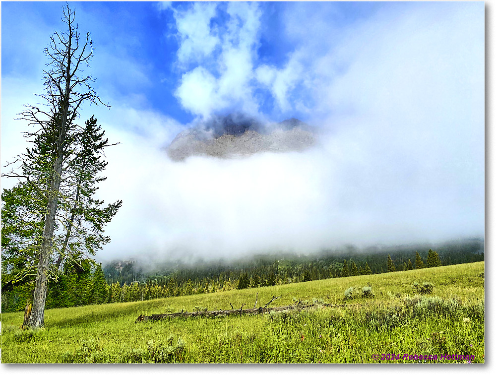 Yellowstone_Jul31Wed_IMG_5346