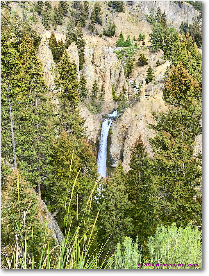 Yellowstone_Jul31Wed_IMG_5358