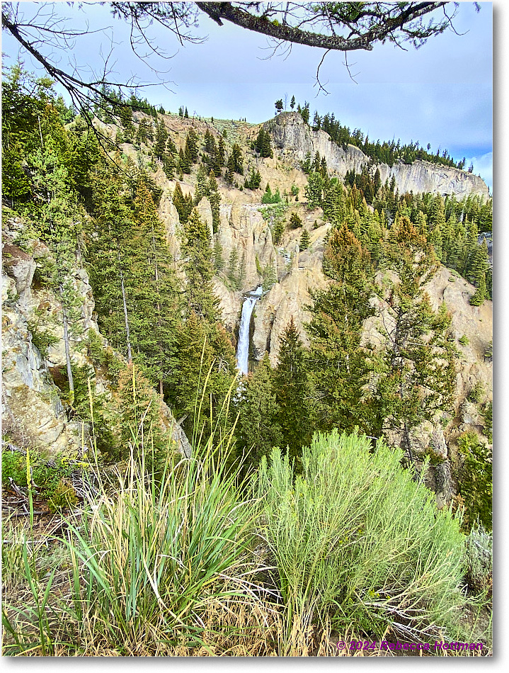 Yellowstone_Jul31Wed_IMG_5359