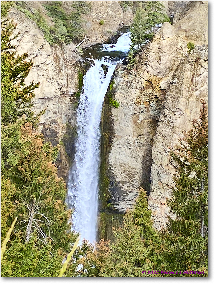 Yellowstone_Jul31Wed_IMG_5360