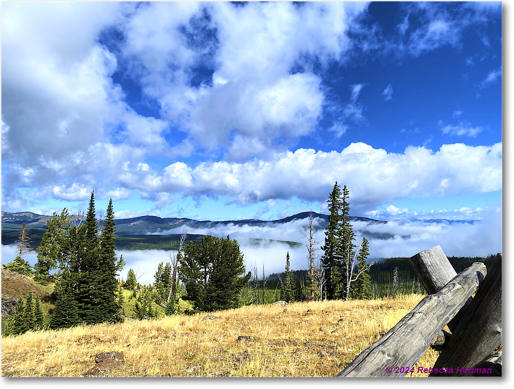 Yellowstone_Jul31Wed_IMG_5364