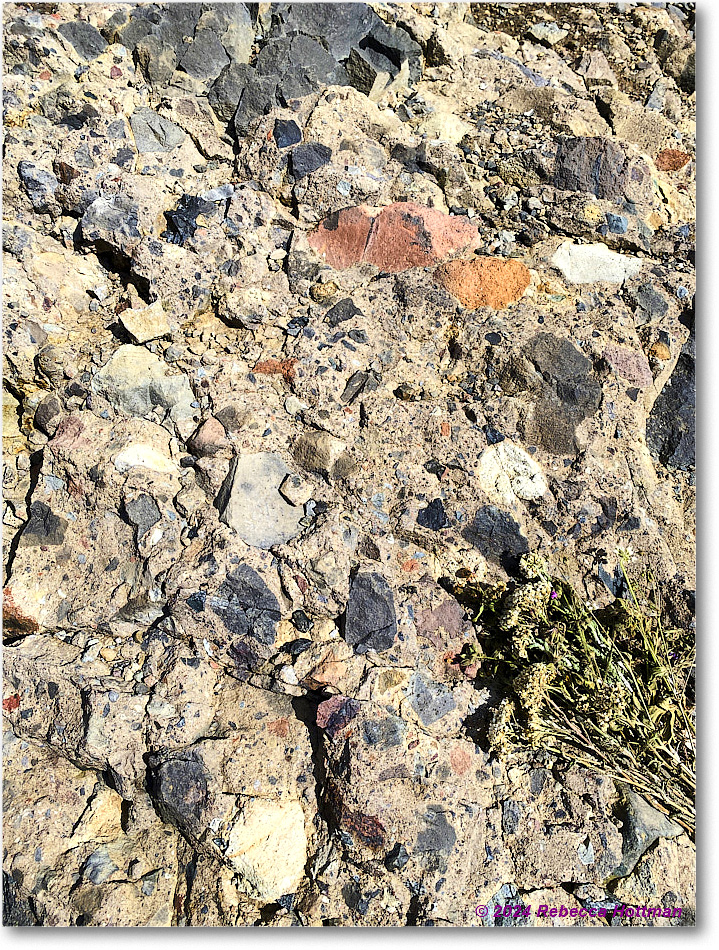 Yellowstone_Jul31Wed_IMG_5365