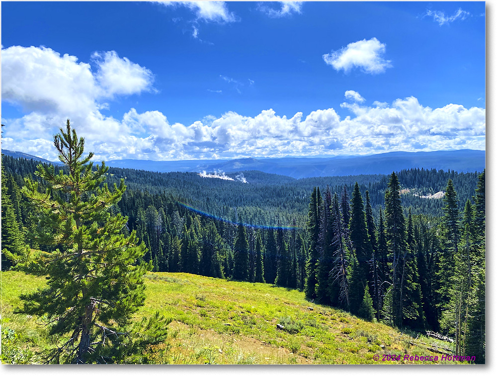 Yellowstone_Jul31Wed_IMG_5369