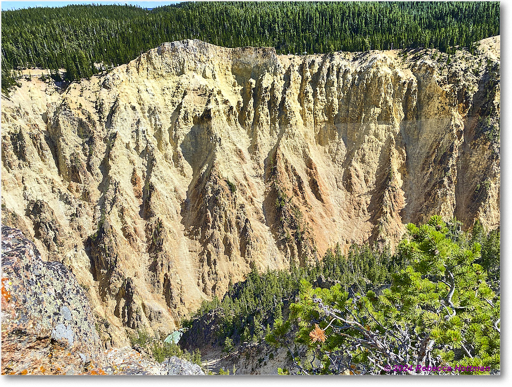 Yellowstone_Jul31Wed_IMG_5372