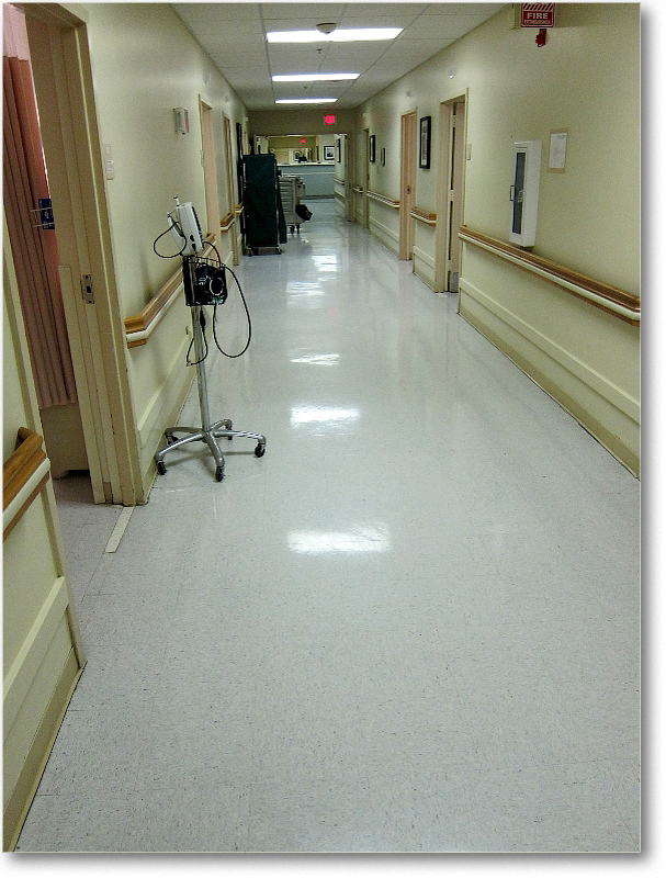 Mother_2011Jan_IMG_0861 copy