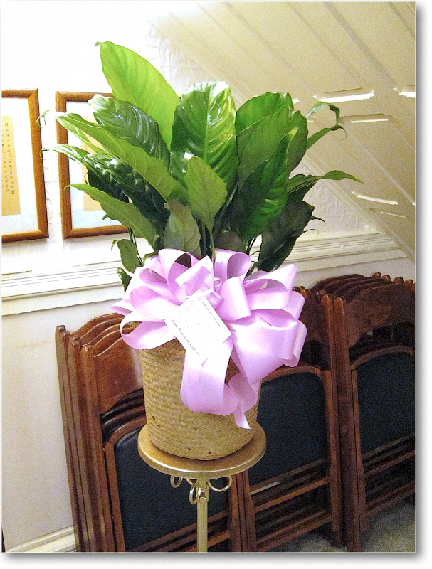 Mother_2011Jan_IMG_0923 copy