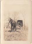 Lora Wilson & Vester Ringold (marriage carriage) copy