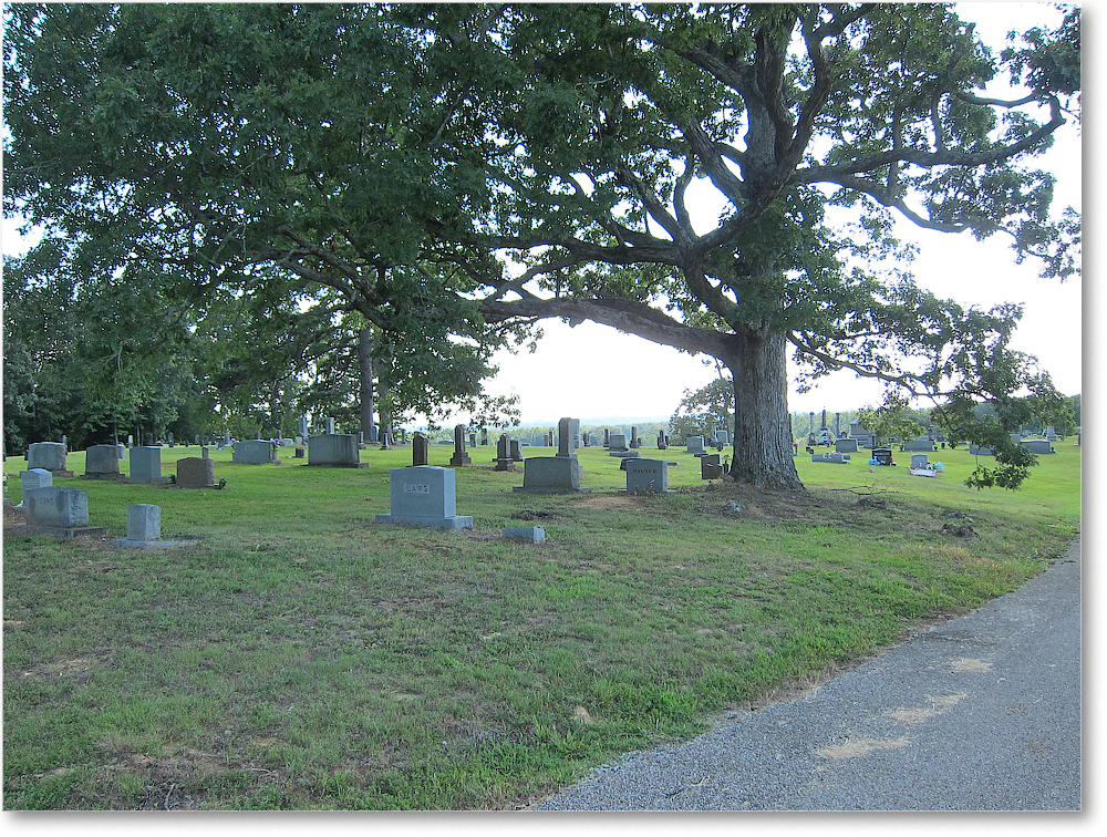 Johnson Section IMG_1999